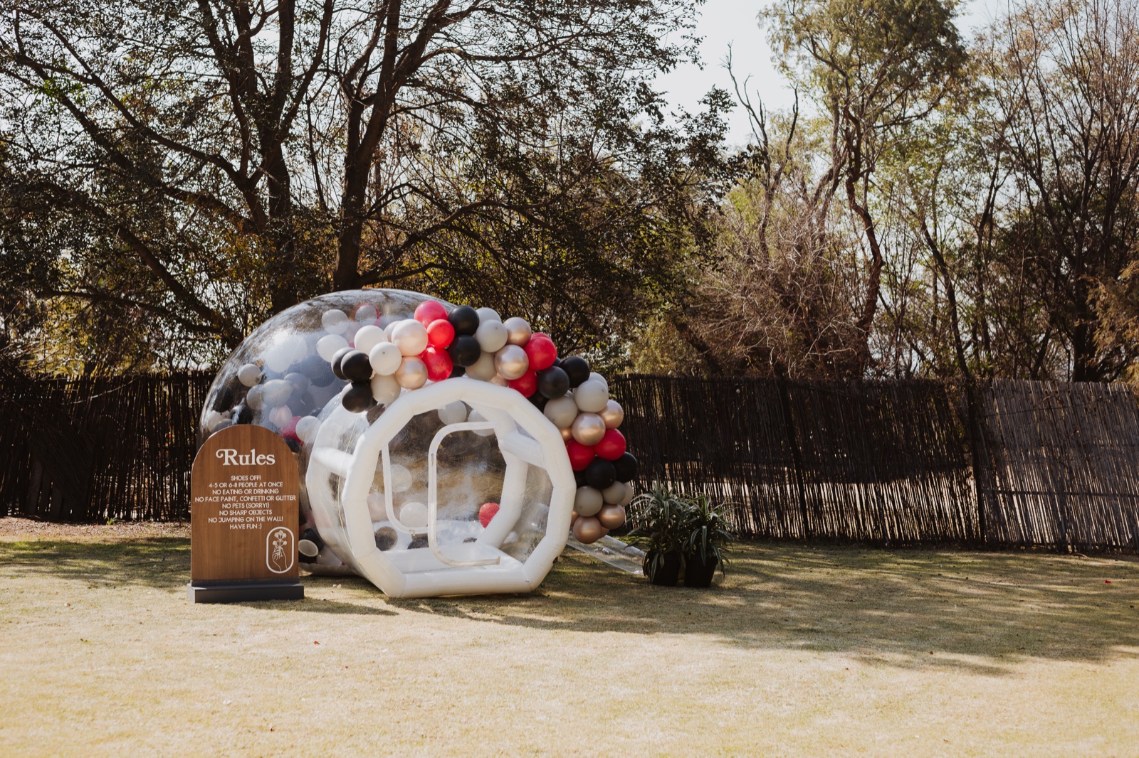 Outdoor bubble house with balloon garland on a lawn